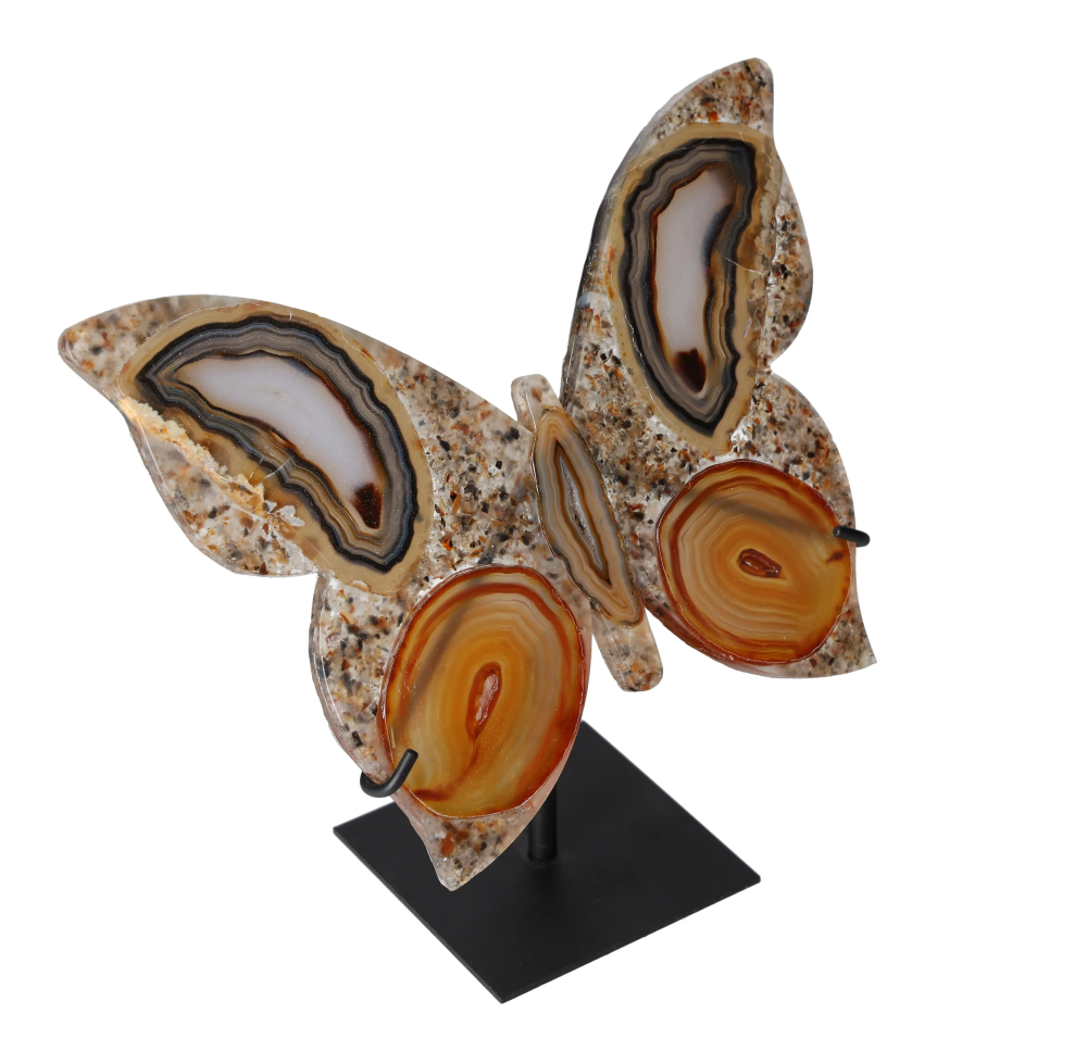 orbitvu|type:image2d