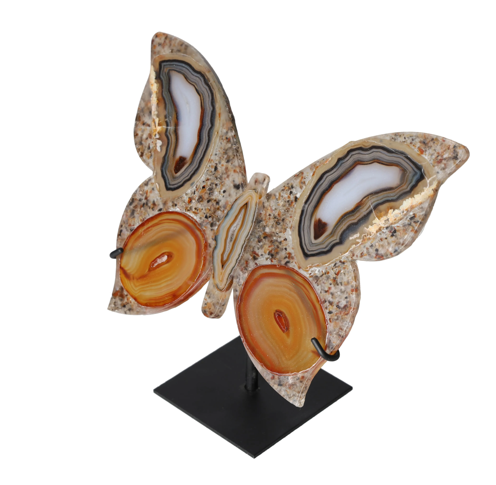 orbitvu|type:image2d