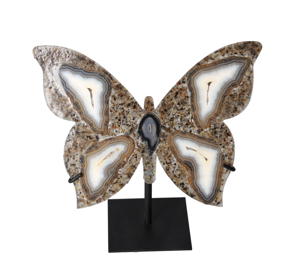 orbitvu|type:image2d