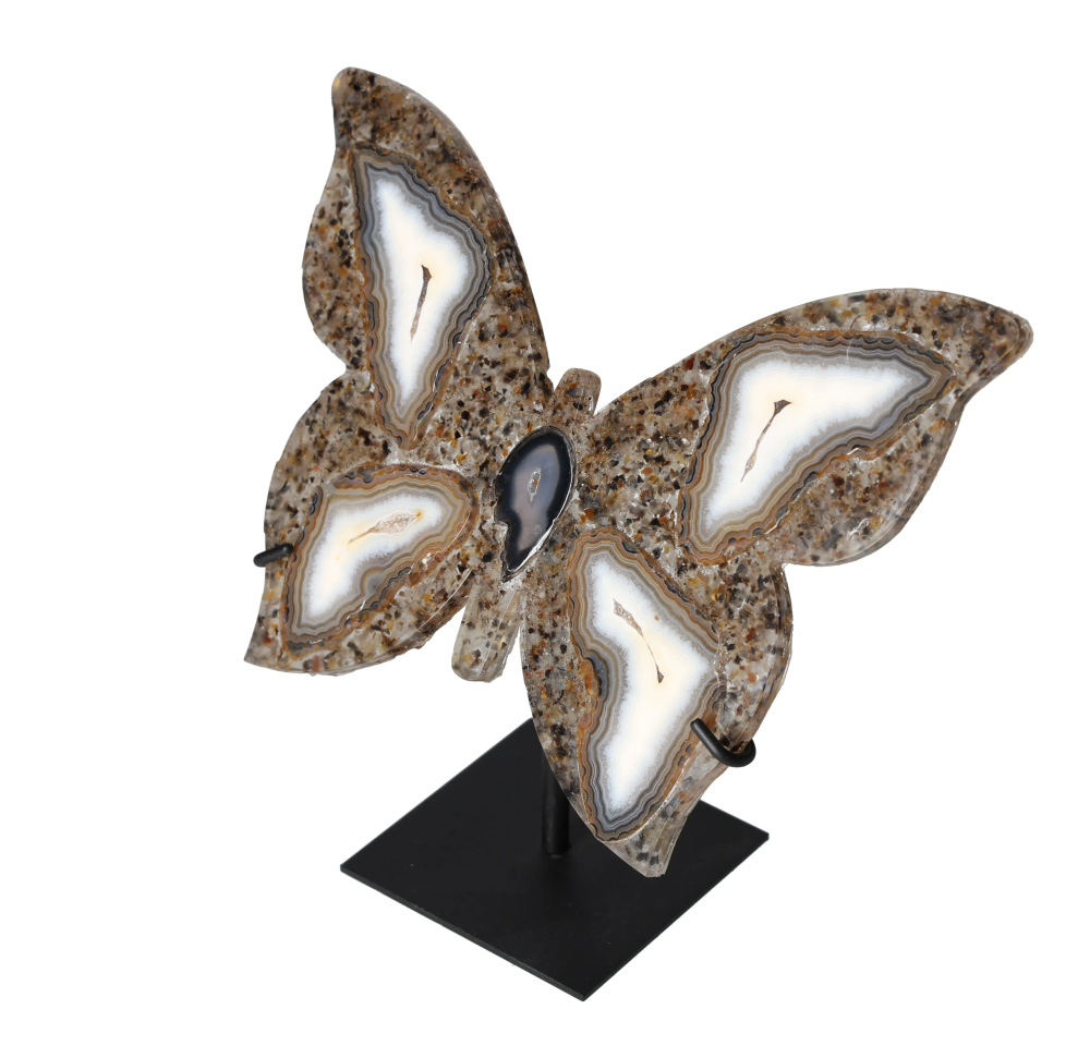 orbitvu|type:image2d