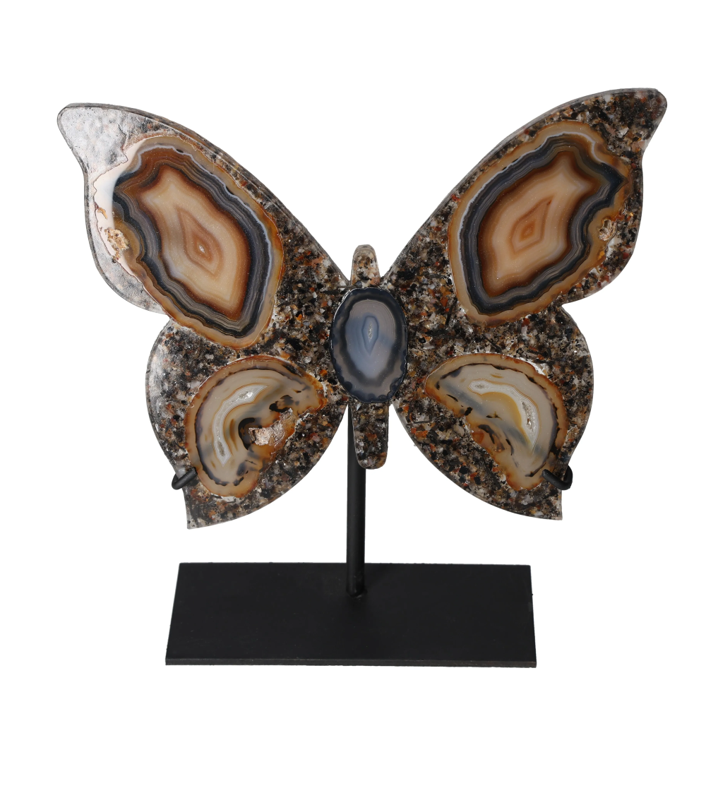 orbitvu|type:image2d