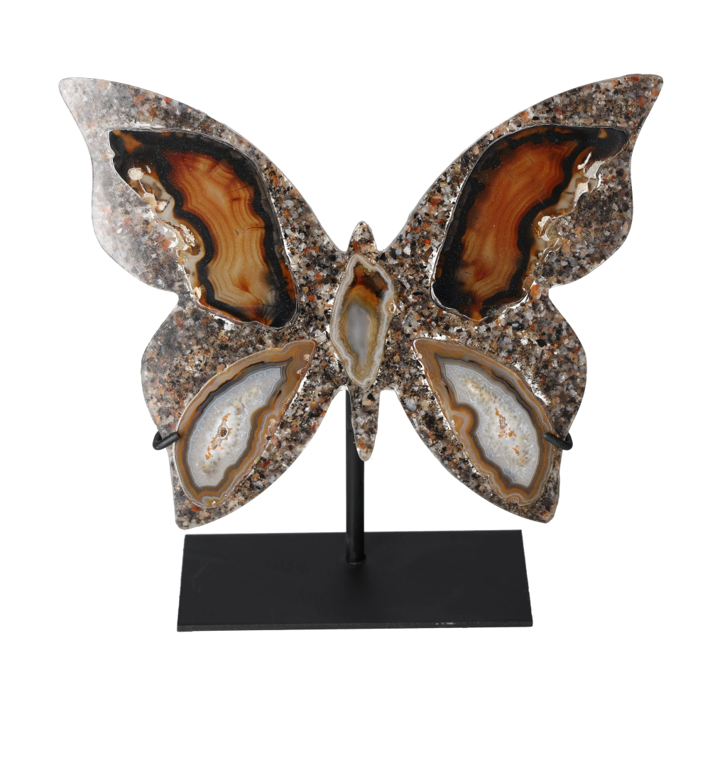 orbitvu|type:image2d