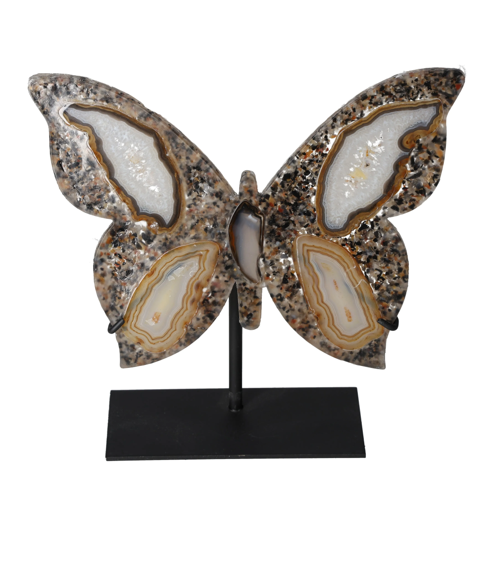 orbitvu|type:image2d