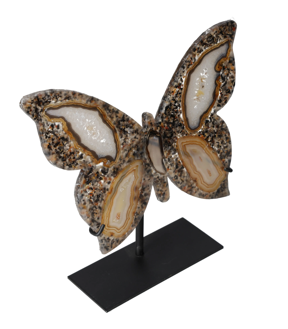 orbitvu|type:image2d