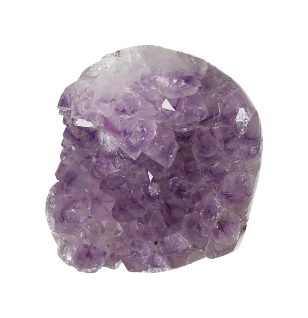 orbitvu|type:image2d