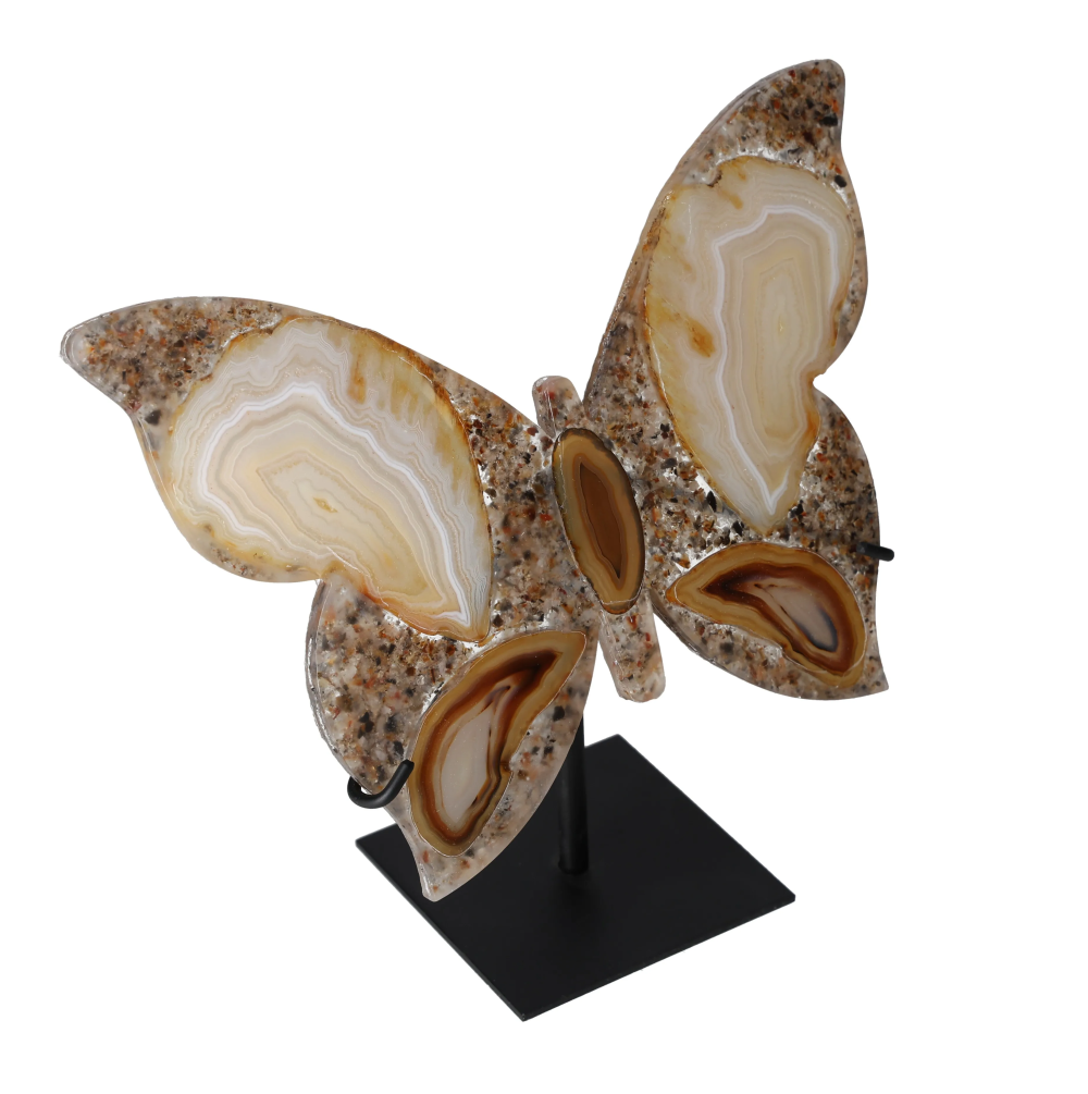 orbitvu|type:image2d