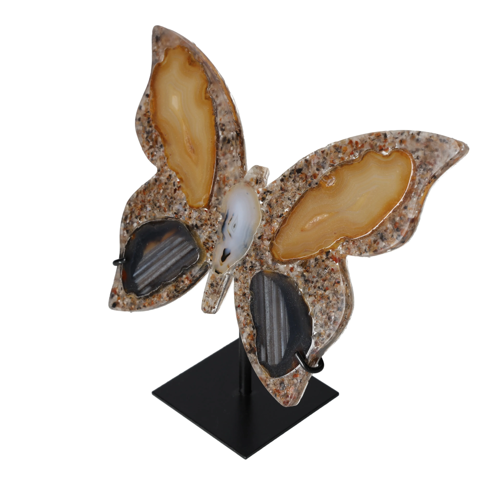 orbitvu|type:image2d