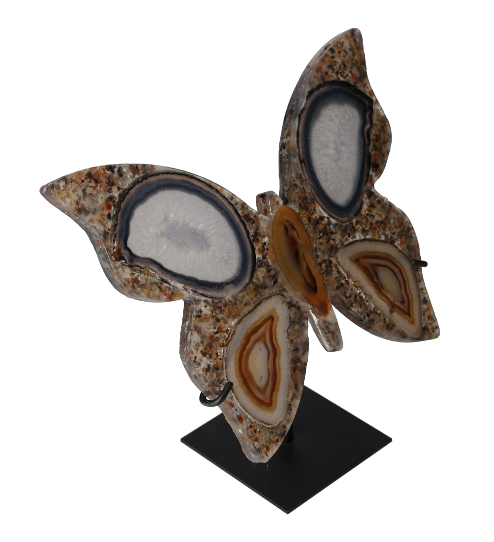 orbitvu|type:image2d