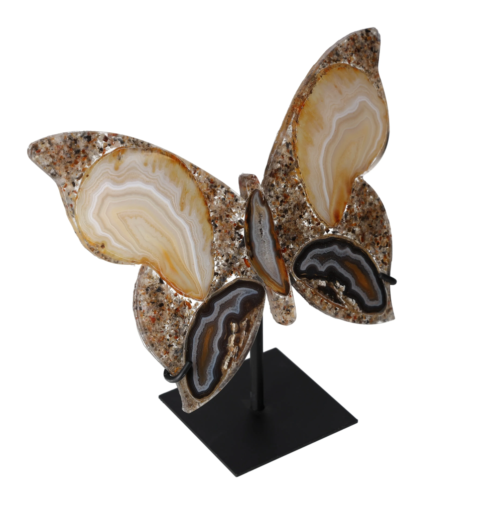 orbitvu|type:image2d