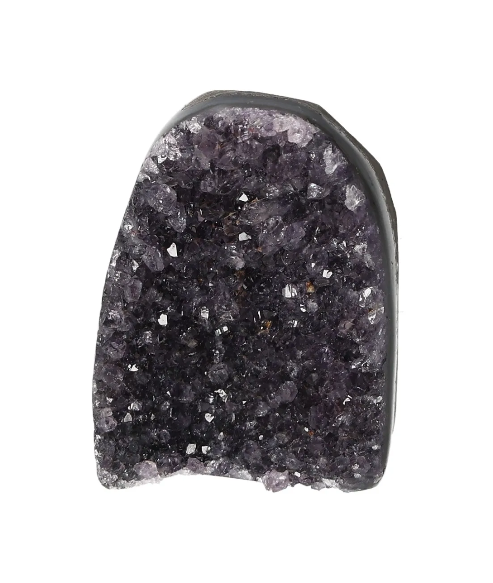 orbitvu|type:image2d