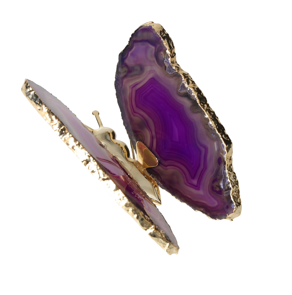 orbitvu|type:image2d