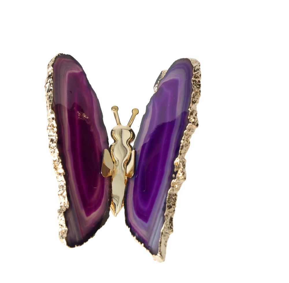 orbitvu|type:image2d