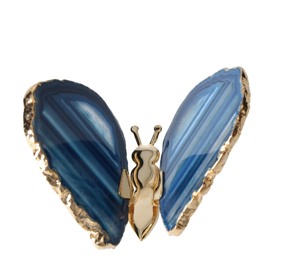 orbitvu|type:image2d