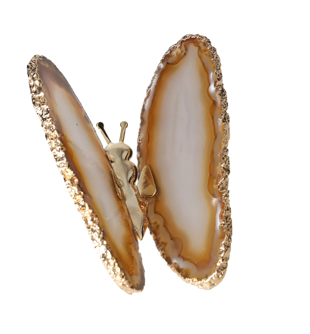 orbitvu|type:image2d