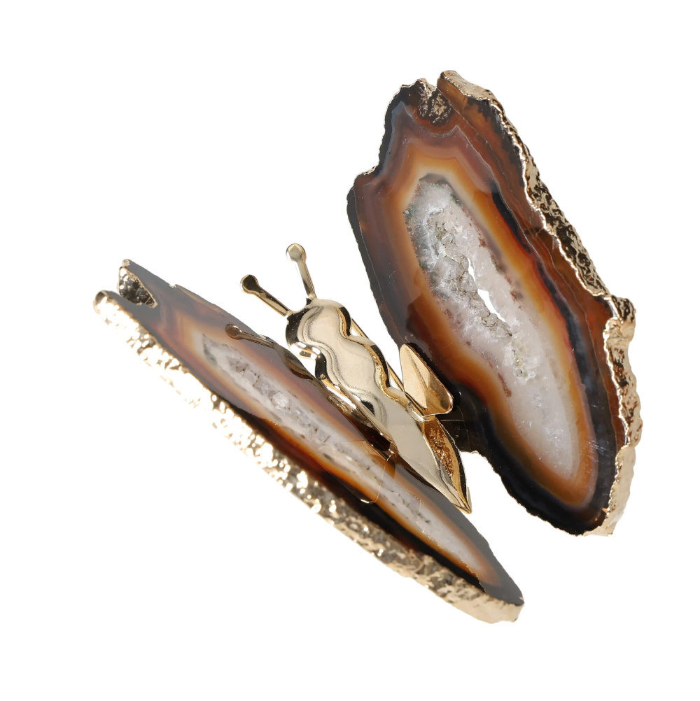 orbitvu|type:image2d