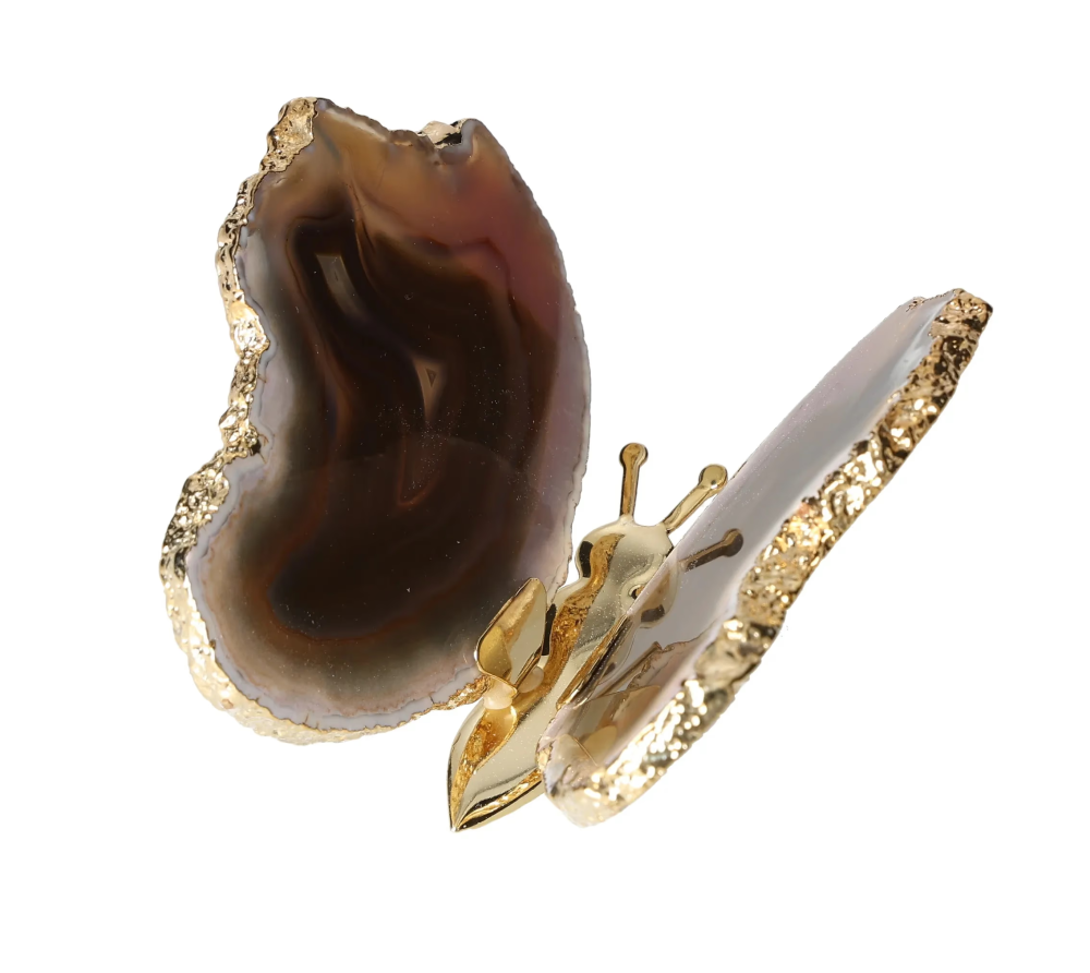 orbitvu|type:image2d