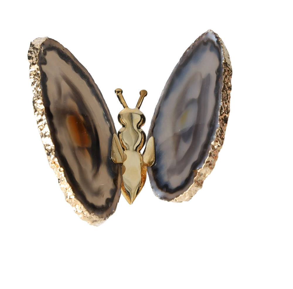 orbitvu|type:image2d