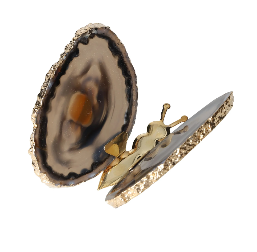 orbitvu|type:image2d