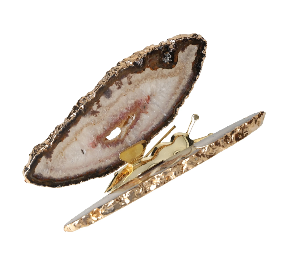 orbitvu|type:image2d