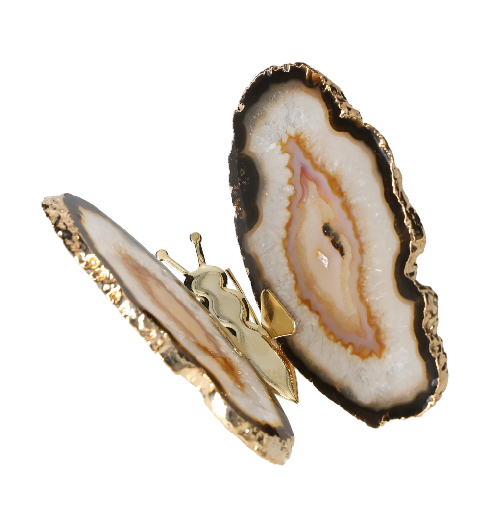 orbitvu|type:image2d