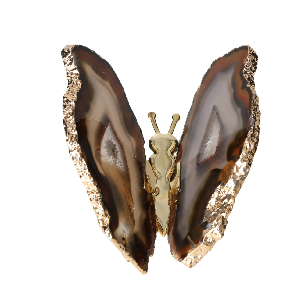 orbitvu|type:image2d