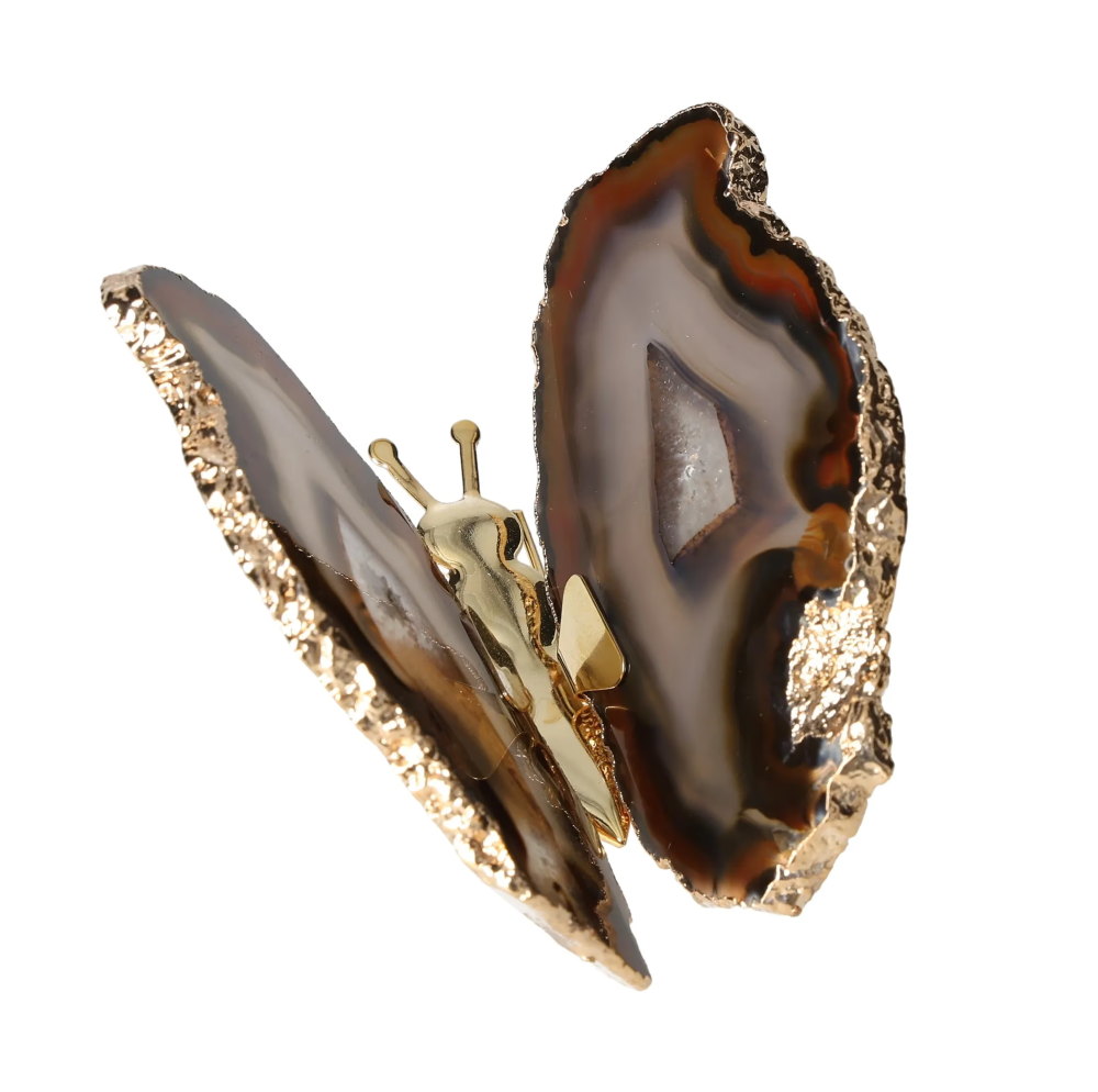 orbitvu|type:image2d