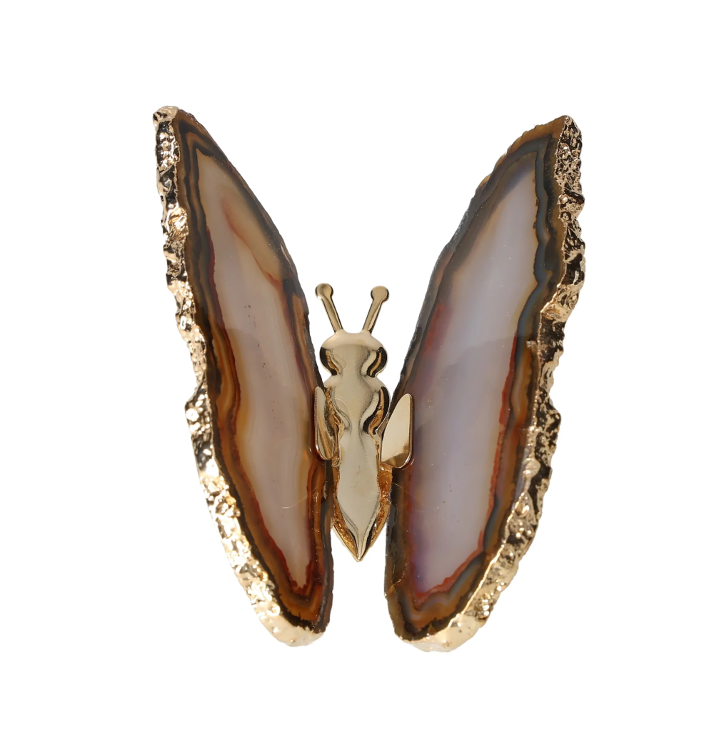 orbitvu|type:image2d