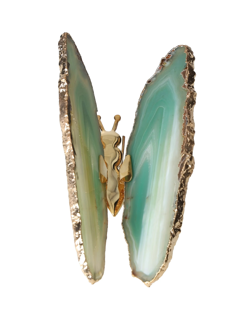 orbitvu|type:image2d