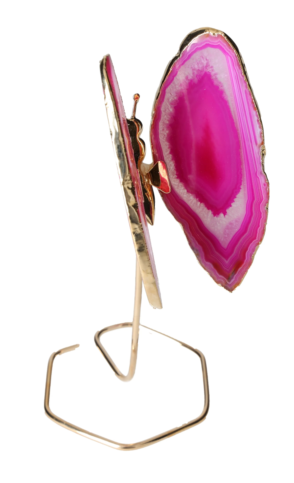 orbitvu|type:image2d