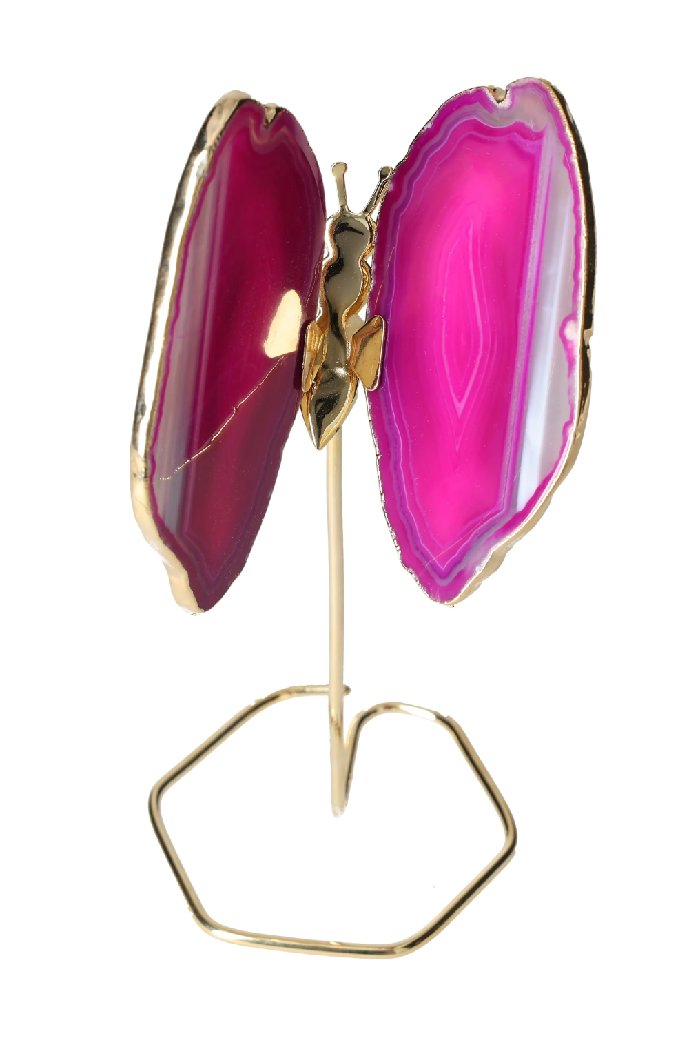 orbitvu|type:image2d