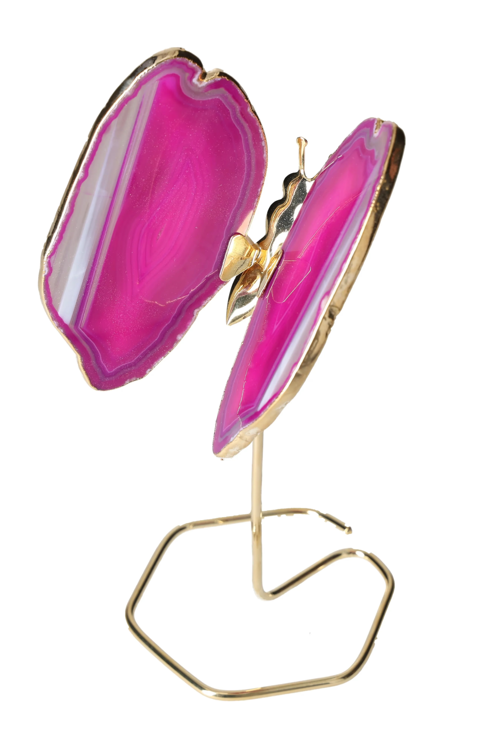 orbitvu|type:image2d