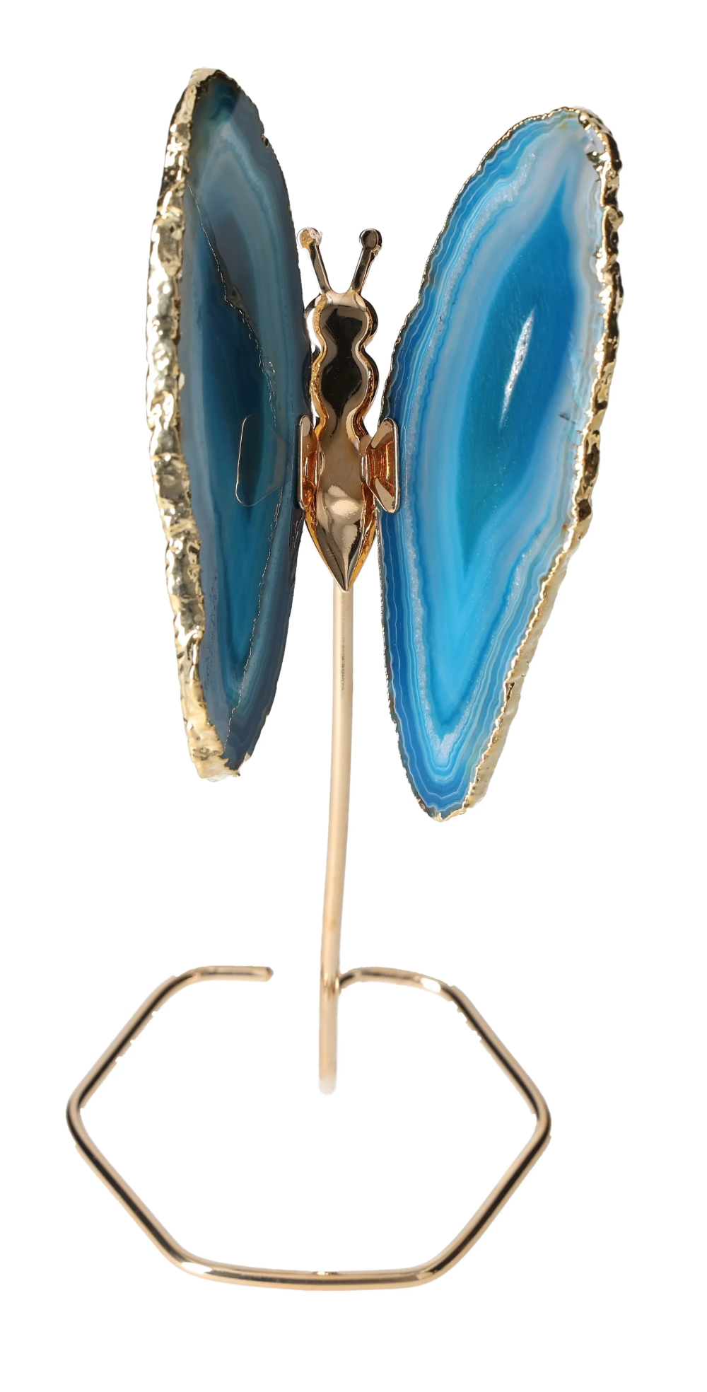 orbitvu|type:image2d