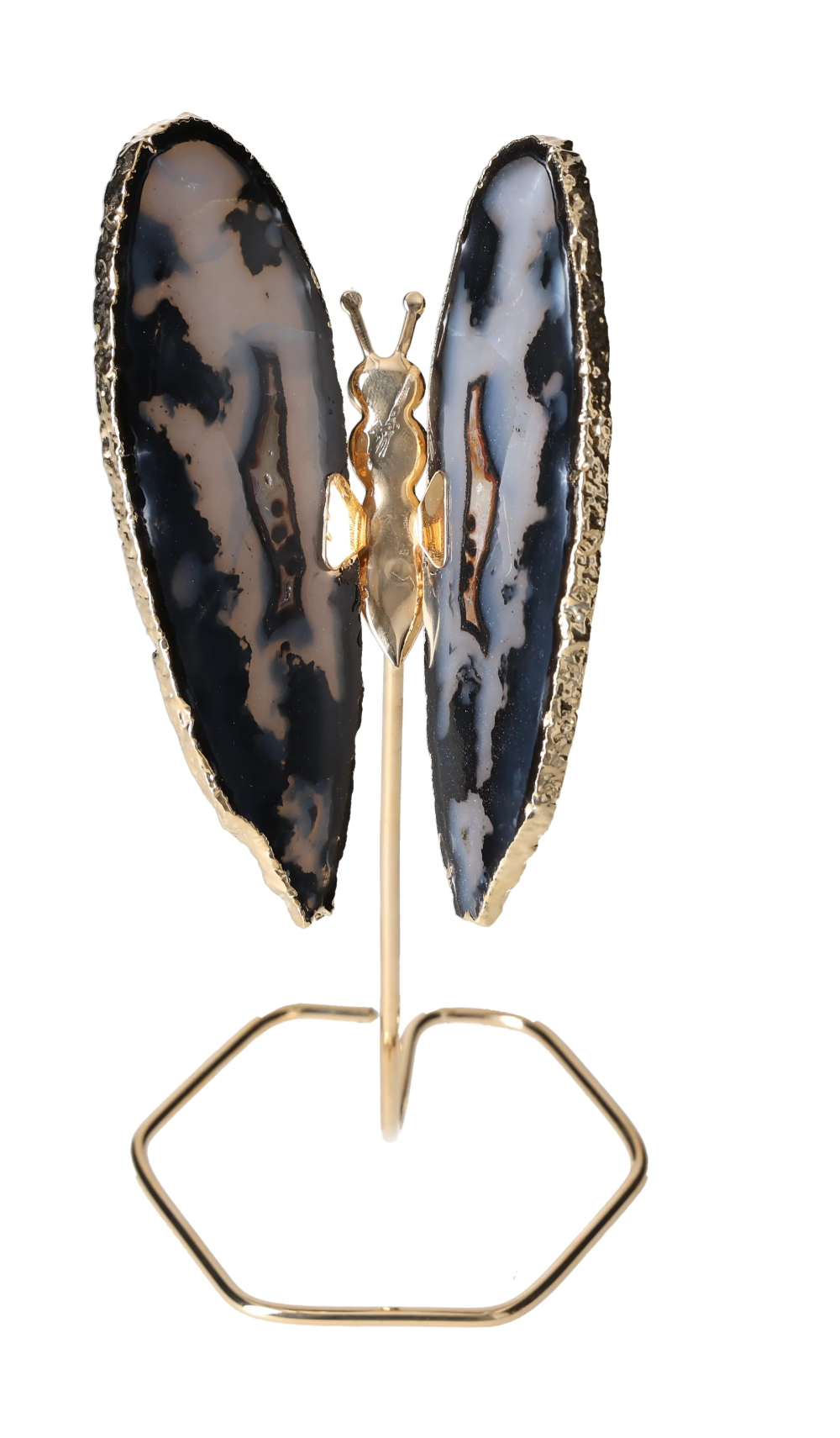 orbitvu|type:image2d