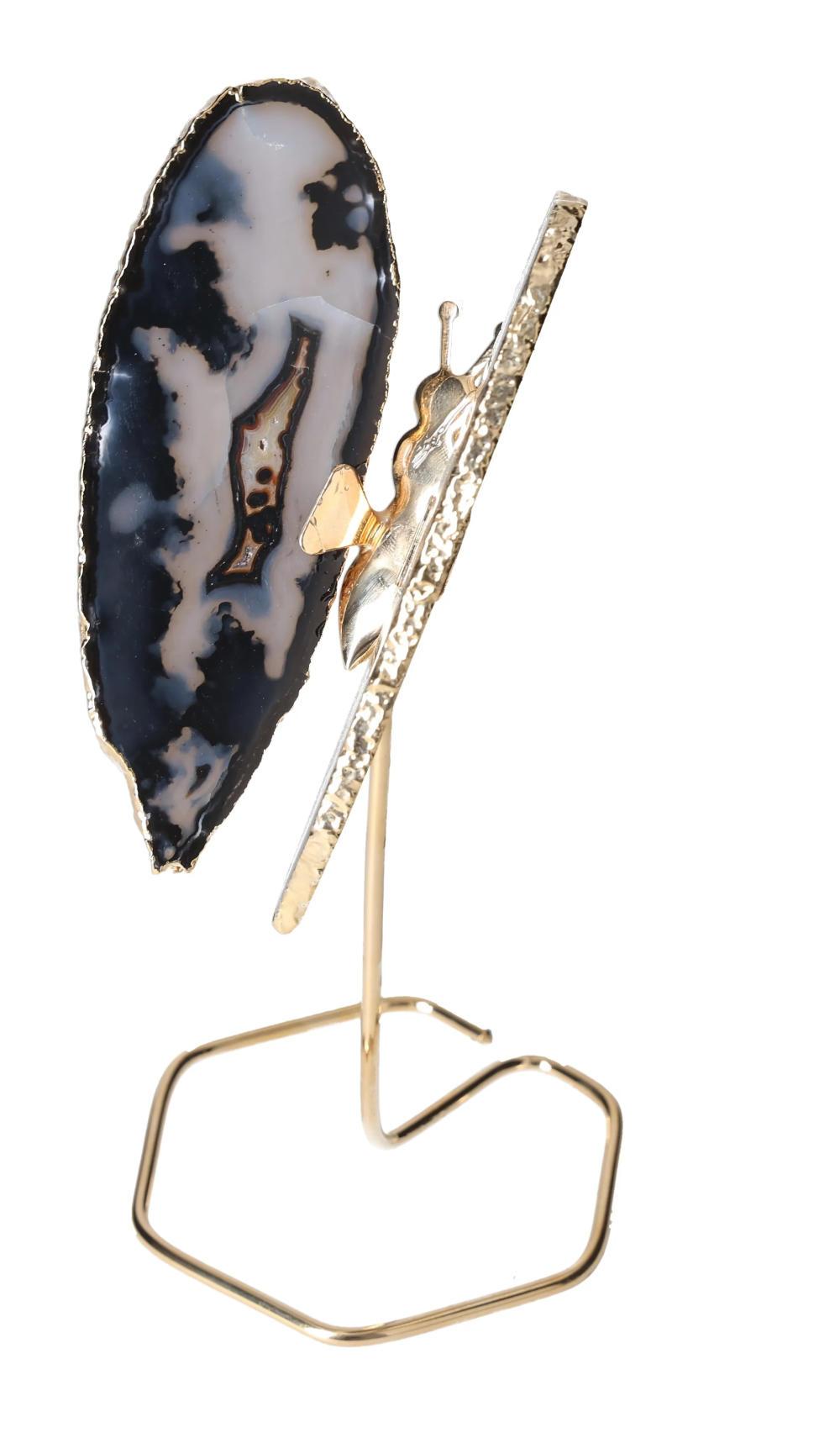 orbitvu|type:image2d