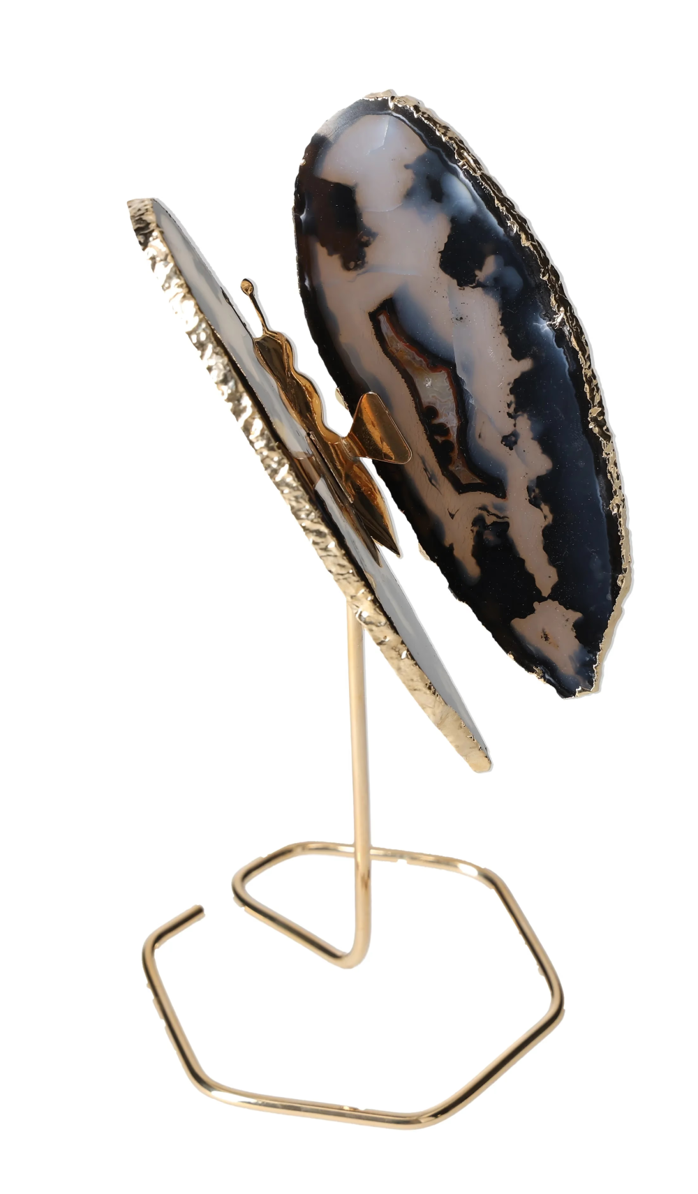 orbitvu|type:image2d