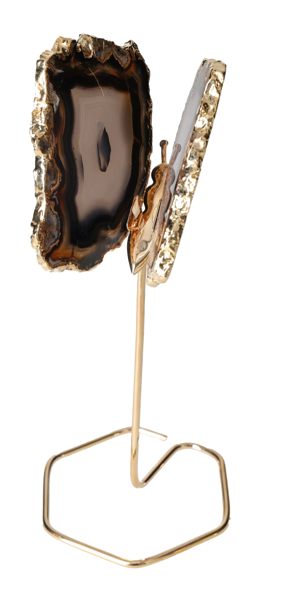 orbitvu|type:image2d