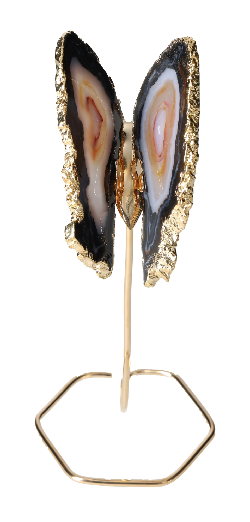 orbitvu|type:image2d