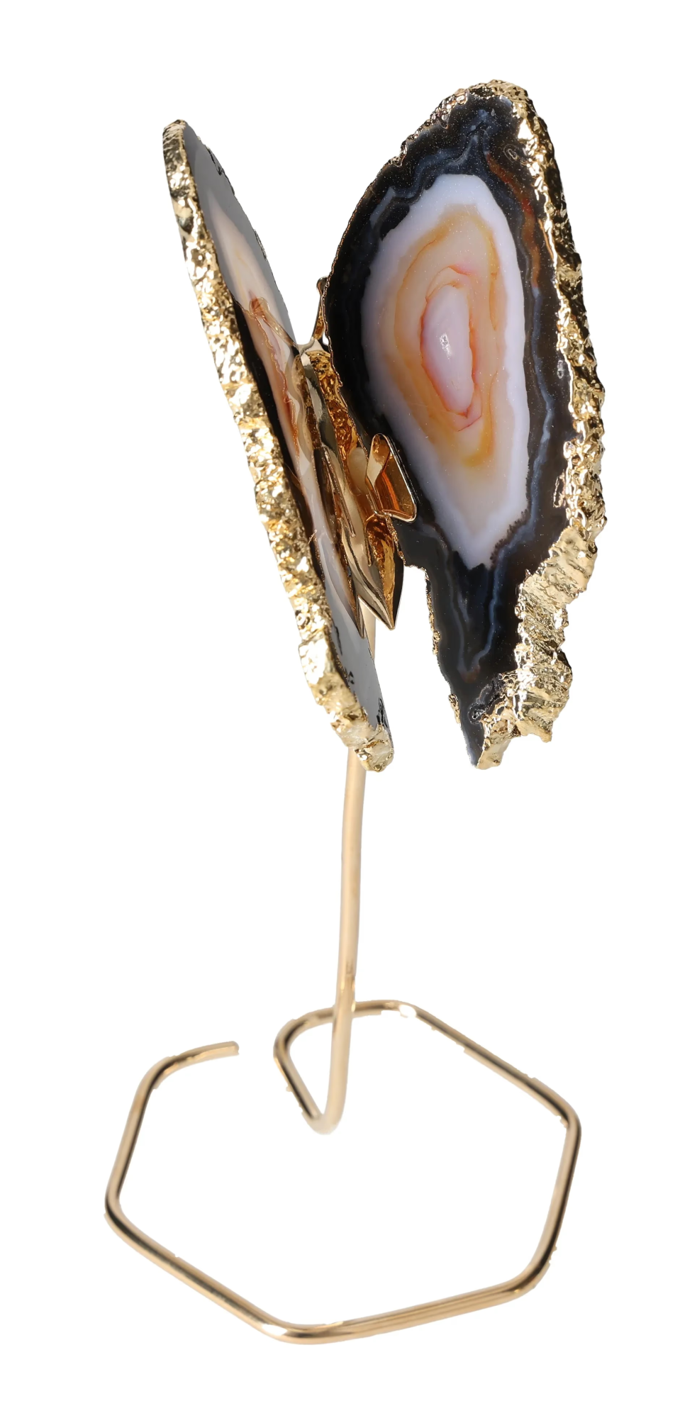 orbitvu|type:image2d