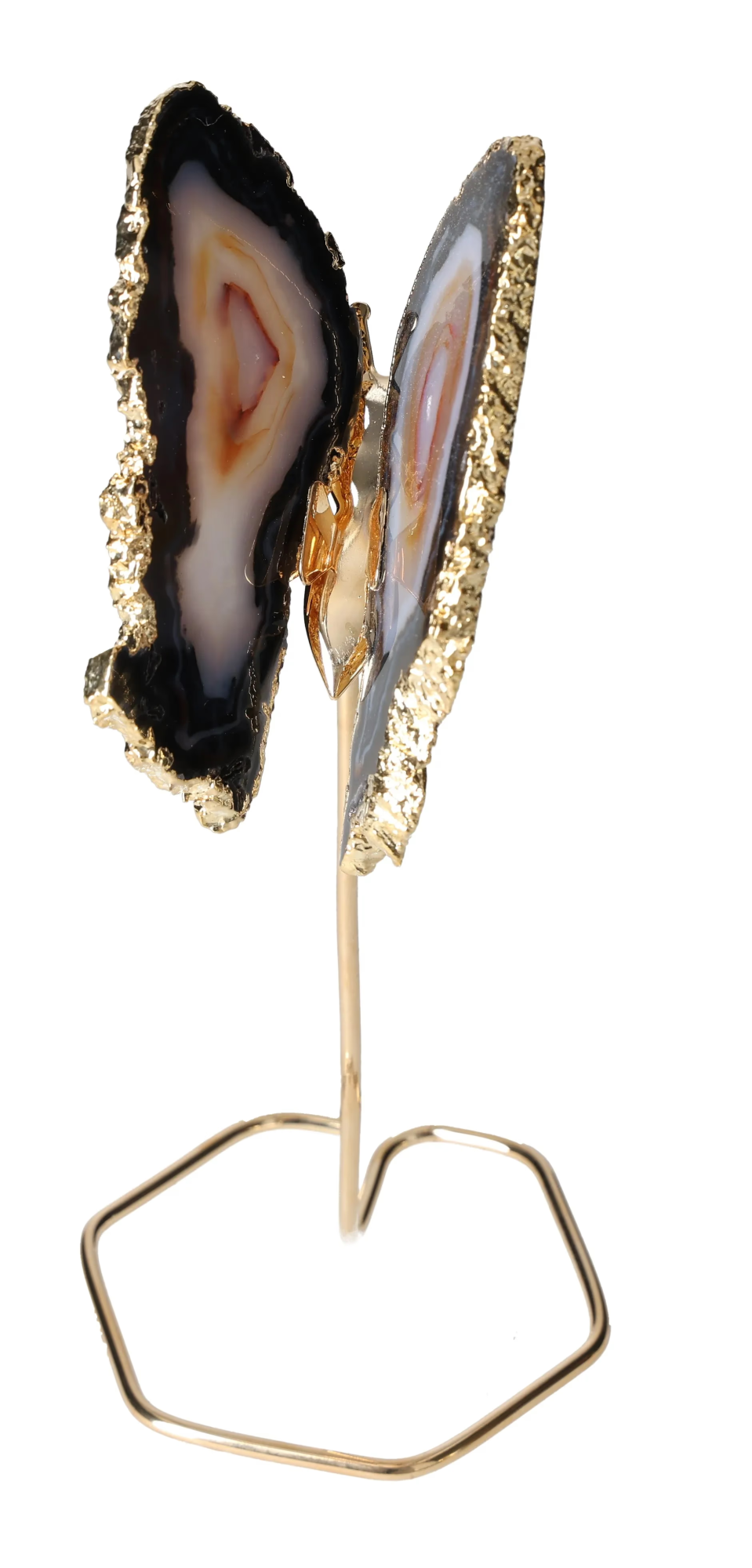 orbitvu|type:image2d