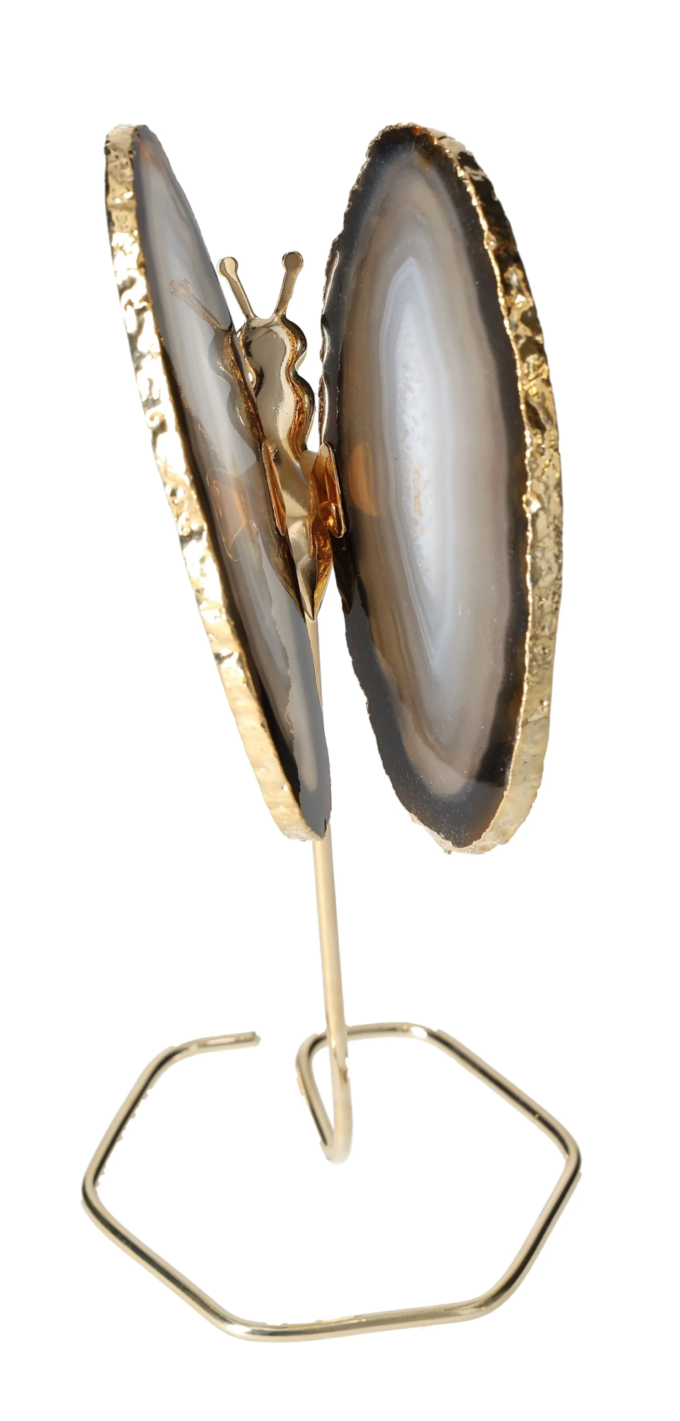 orbitvu|type:image2d