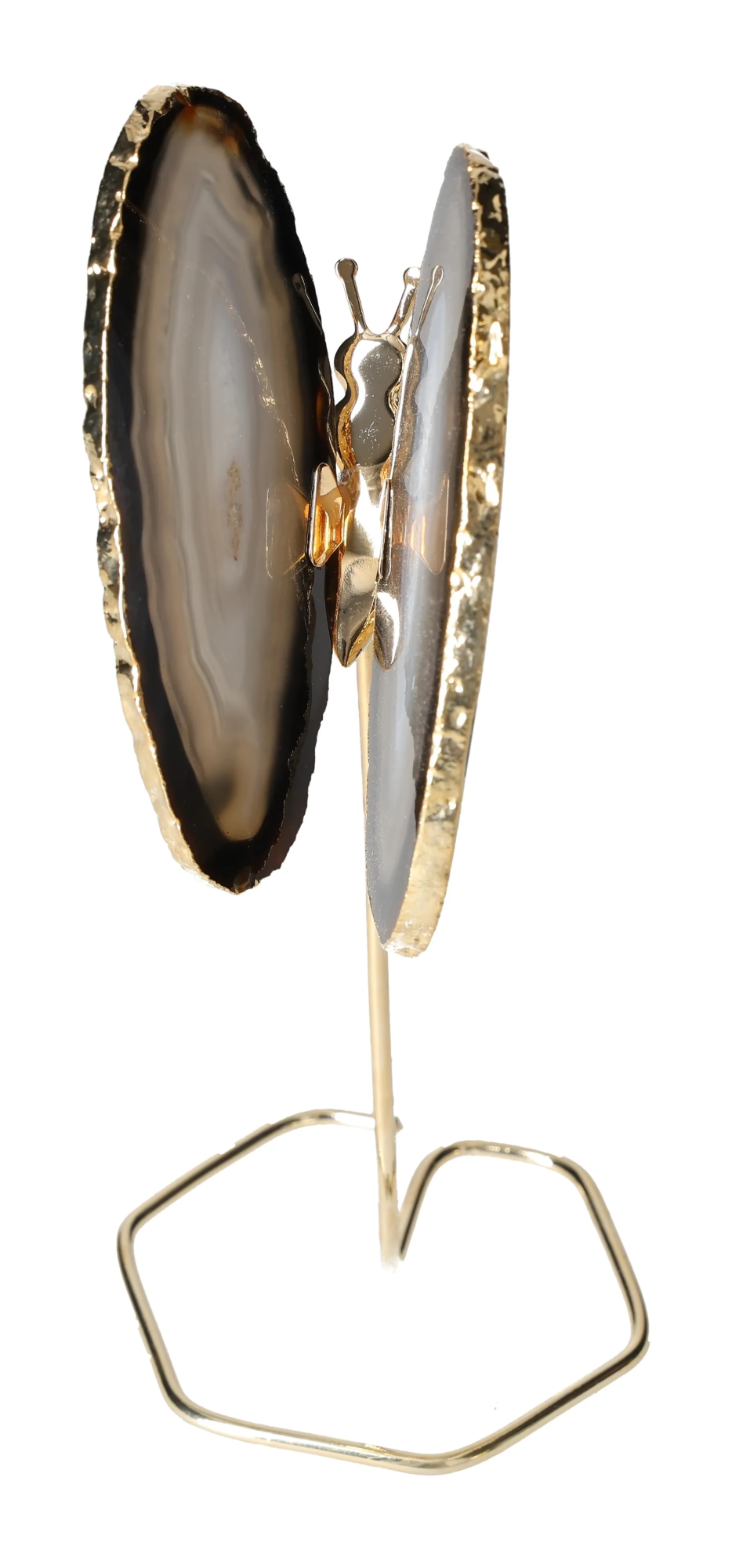 orbitvu|type:image2d