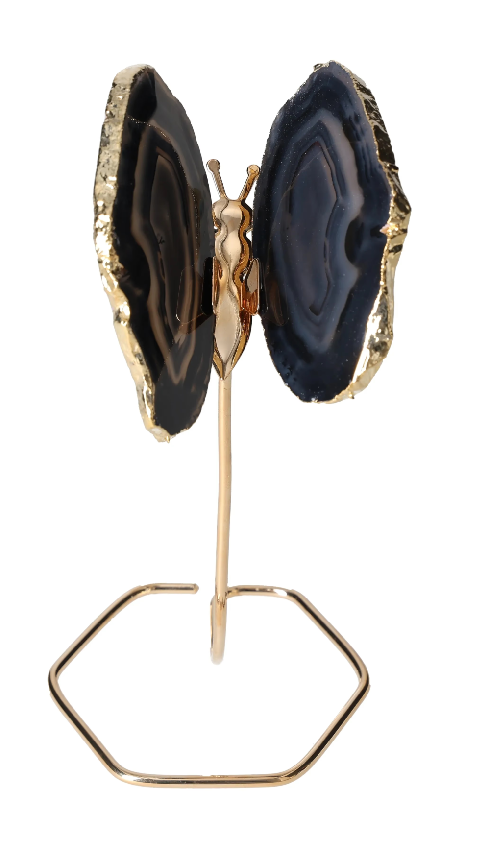 orbitvu|type:image2d