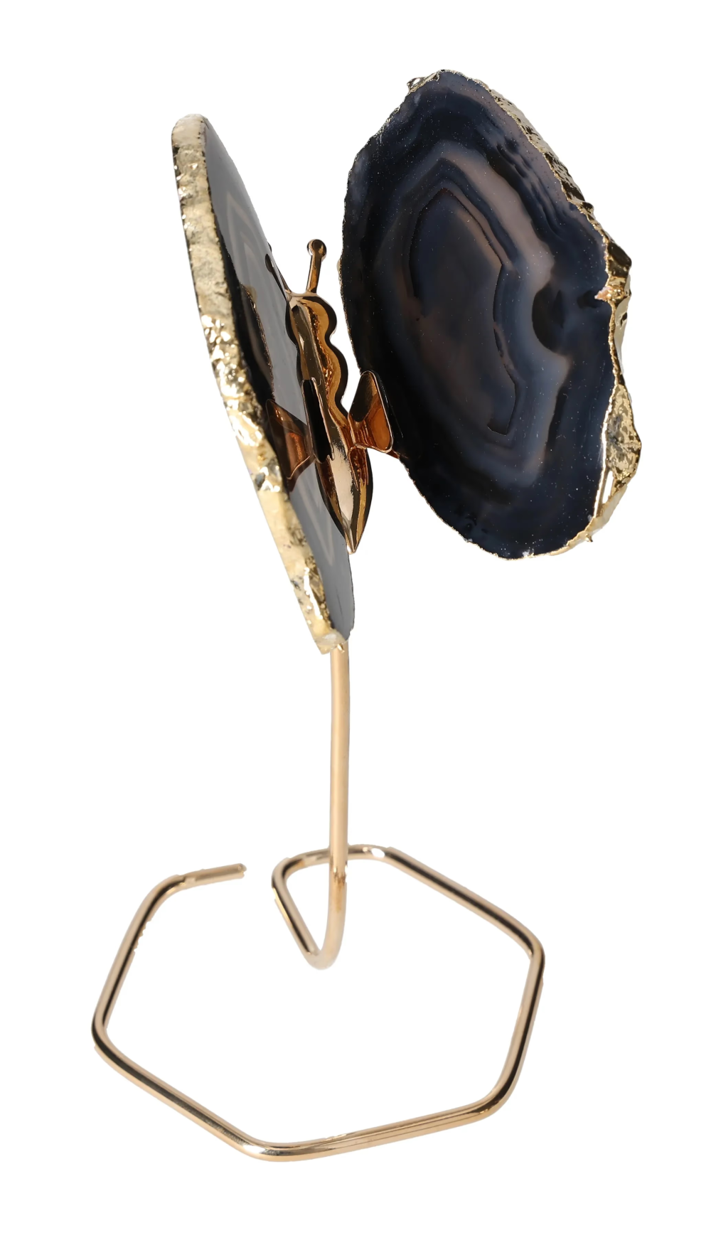 orbitvu|type:image2d