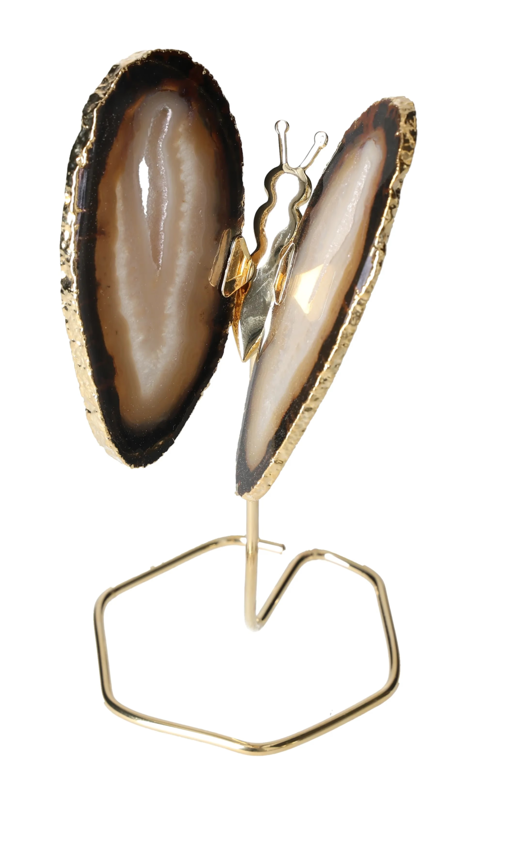 orbitvu|type:image2d