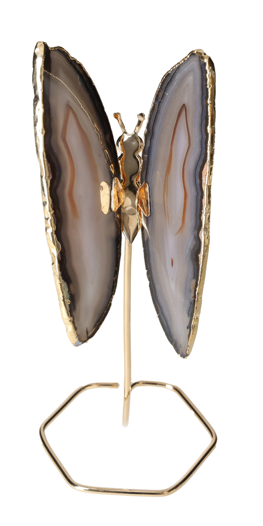 orbitvu|type:image2d