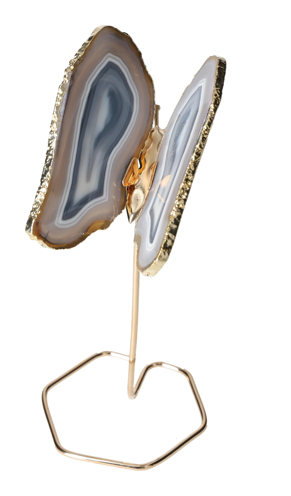 orbitvu|type:image2d