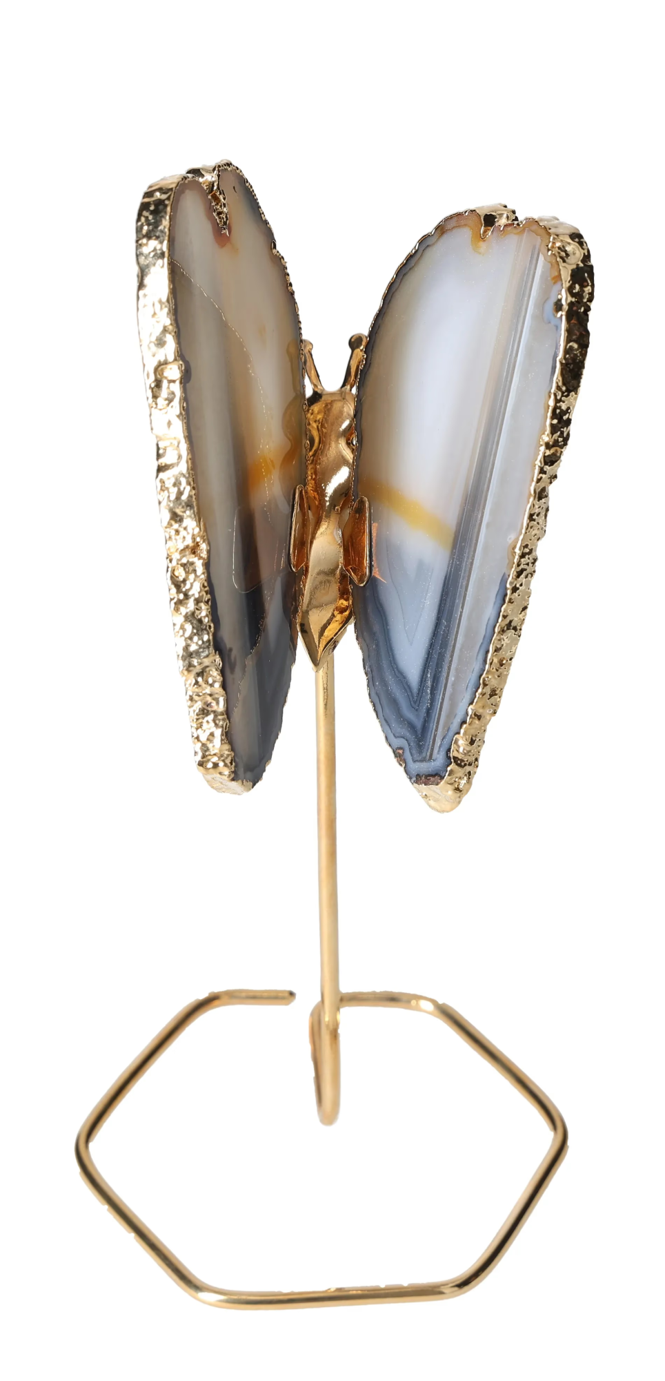 orbitvu|type:image2d