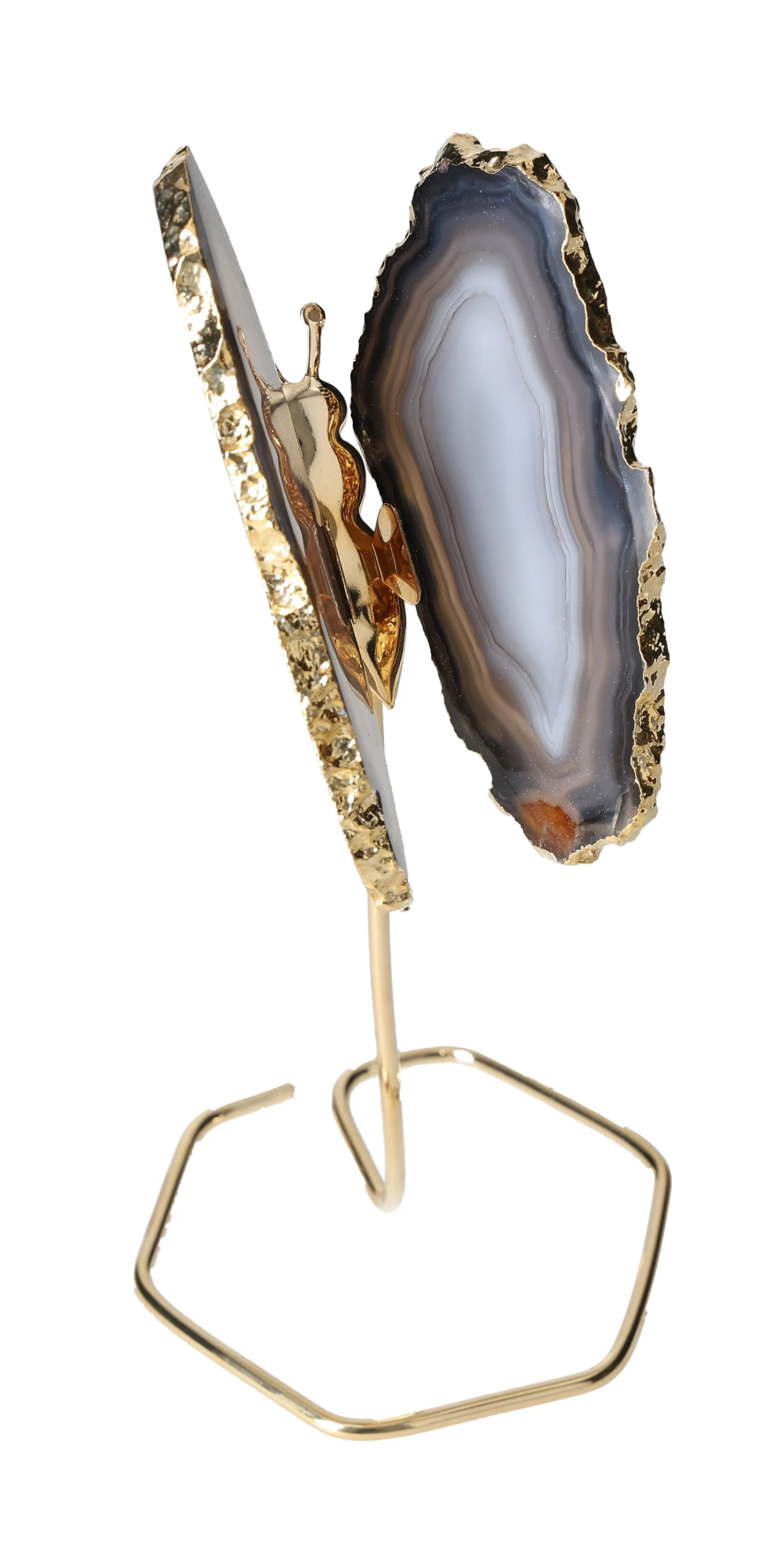 orbitvu|type:image2d