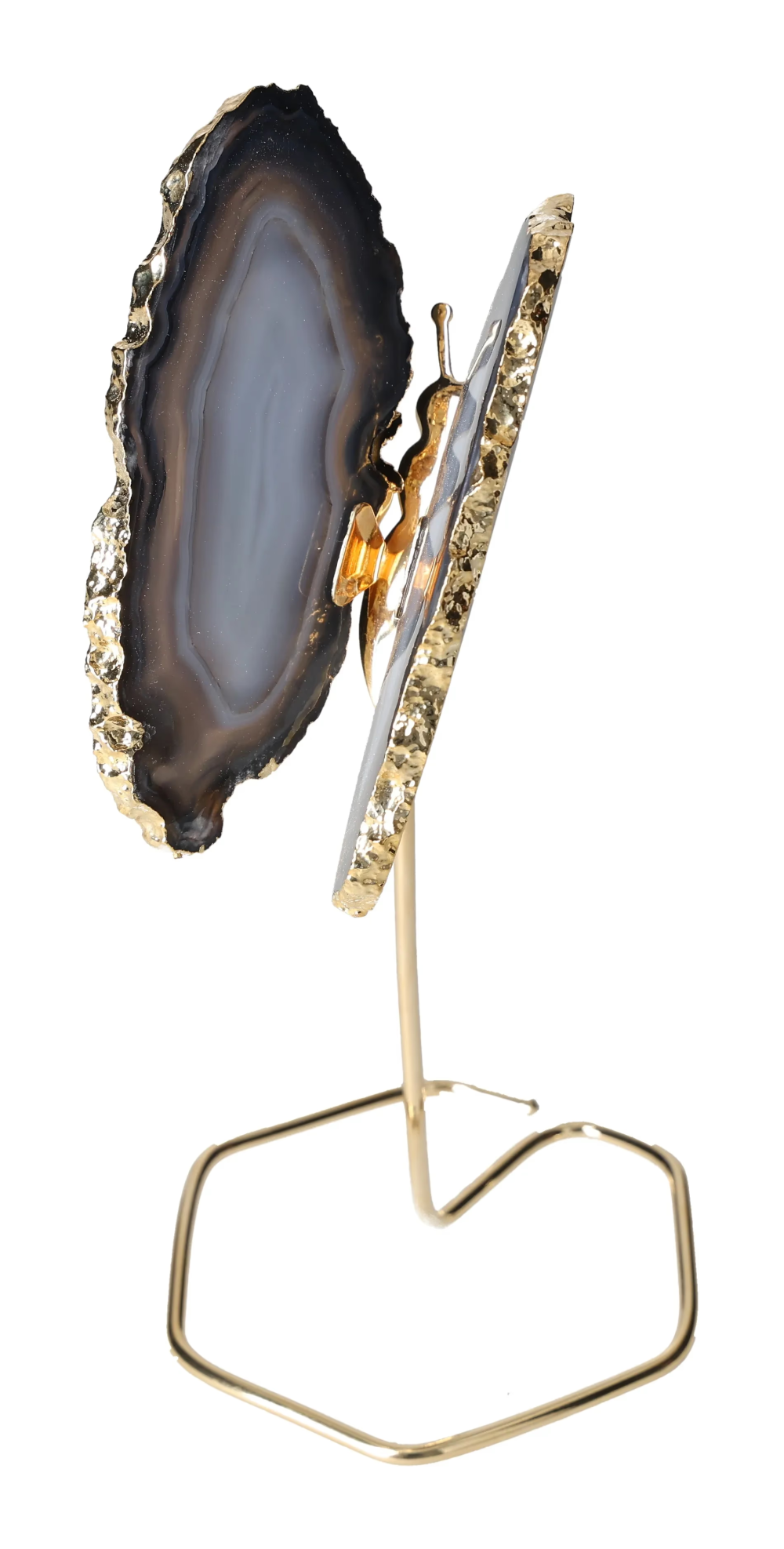 orbitvu|type:image2d