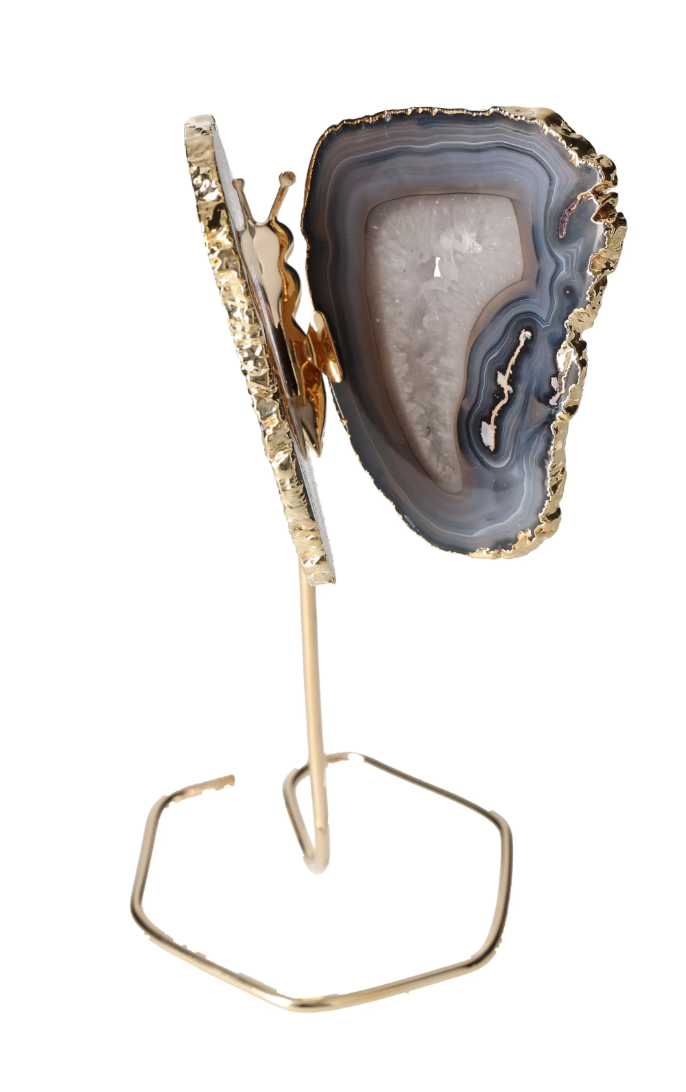 orbitvu|type:image2d